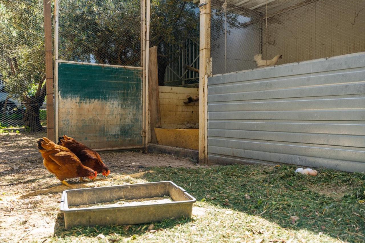 Willa El Cortijo De Granada Gojar Zewnętrze zdjęcie